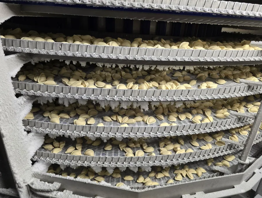 Pelmeni auf Produktions- oder Gefriertrays